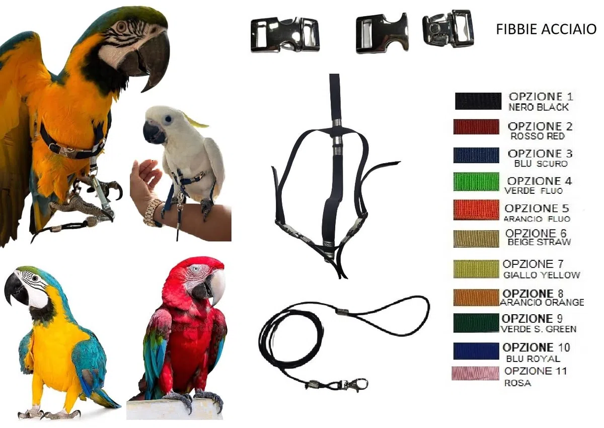 PETTORINA REGOLABILE PER PAPPAGALLI MISURA ARA O CACATUA elastico 10 mm 2 attacchi ACCIAIO REGOLABILI GUINZAGLIO 3mm nero PR (arancio fluo)
