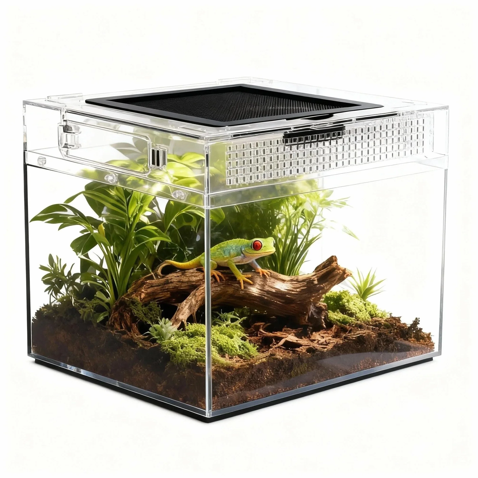 Terrario per Rettili,Carro Armato per Rettili con Schermo per Porte Scorrevoli Superiore Terrari Per Serpente, Rana, Insetto, Tarantola, Paguro, Ragno Saltatore, Iguana (12 * 7 * 9in)
