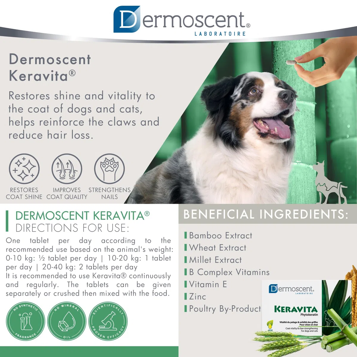 Dermoscent Integratore per Cani e Gatti - 40.5 Gr
