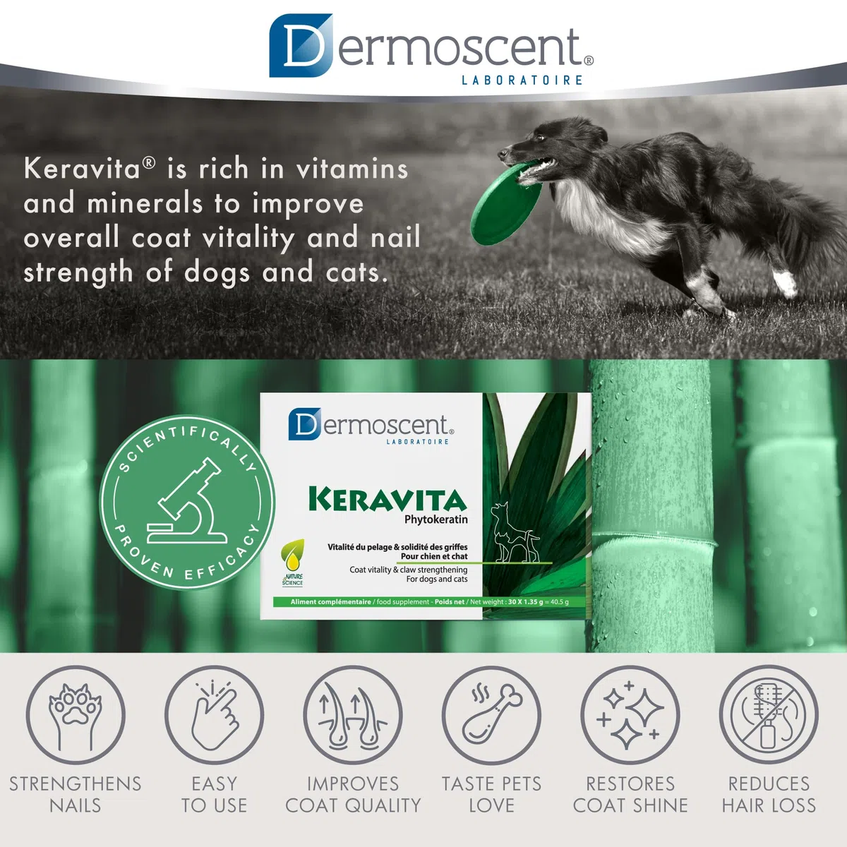 Dermoscent Integratore per Cani e Gatti - 40.5 Gr