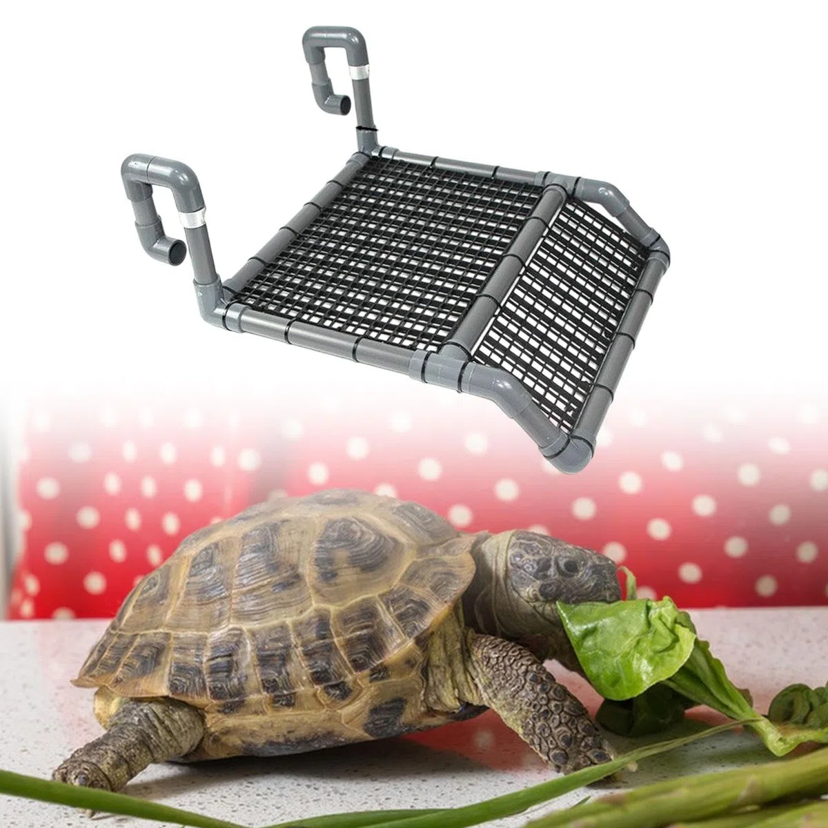 Colcolo Piattaforma per crogiolarsi al sole per tartarughe, scala per rettili, ripiano per arrampicarsi per tartarughe d'acqua dolce, draghi barbuti, piccoli, B