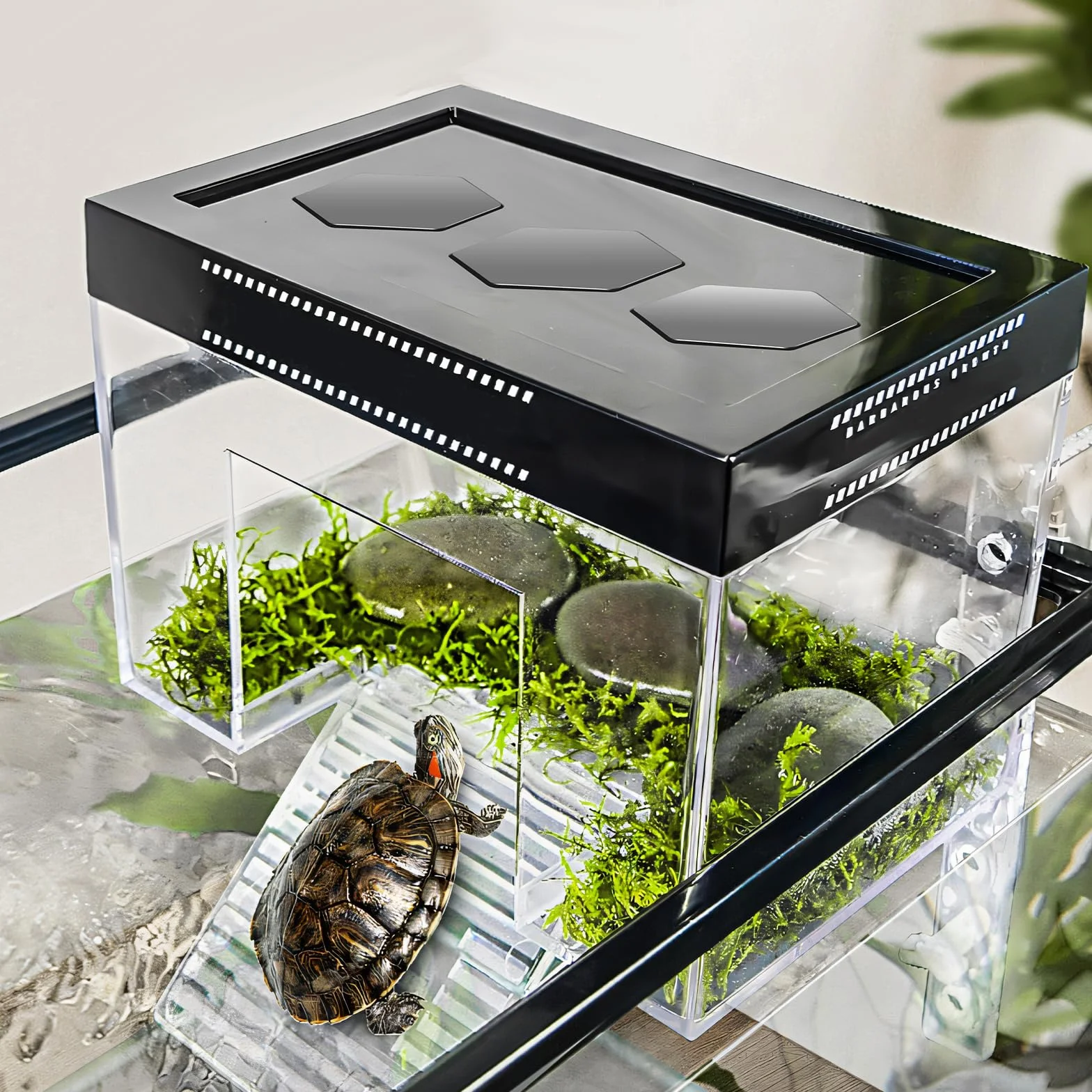 Tartaruga Piattaforma Regolabile Altezza Hanging Topper Habitat con Coperchio e Rampa, 25 × 16 × 16 cm PC Trasparente Piccolo Sopra il Serbatoio Recinzione Acquario per Baby Land Turtles Red Ear