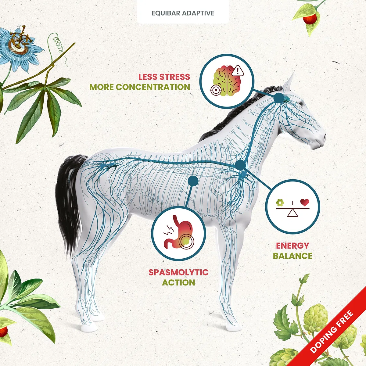 Guidolin Horses Equibar Adaptive® Barretta funzionale per il benessere psico-fisico e la concentrazione del cavallo 100% naturale doping free 600g