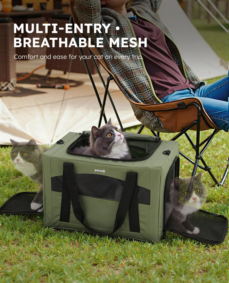 Pecute Trasportino Gatto, Stabile Zaino per Gatti, Traspirante e Portatile Trasportino per Cani, per Gatti Sotto i 5KG, Adatto per Viaggi e Gite, Verde
