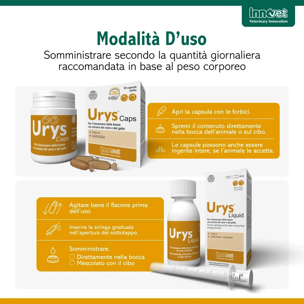 Innovet Urys Liquid 60 ml Per il benessere delle basse vie urinarie del cane e del gatto, con palmitoil-glucosamina micronizzata (PGA-m)