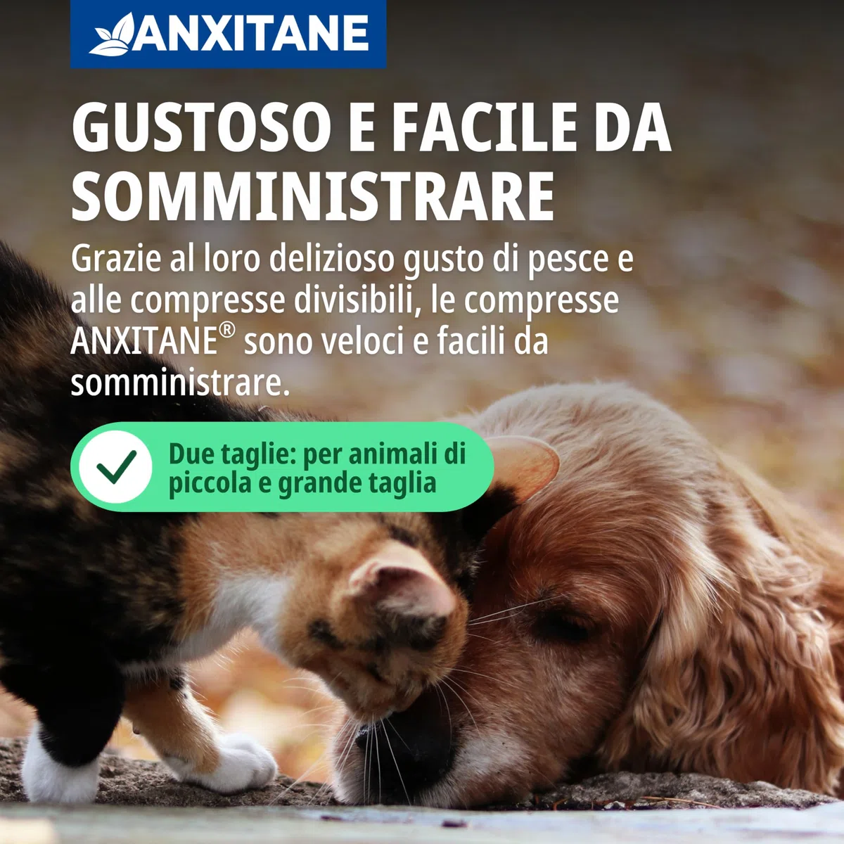 Virbac Anxitane M/L