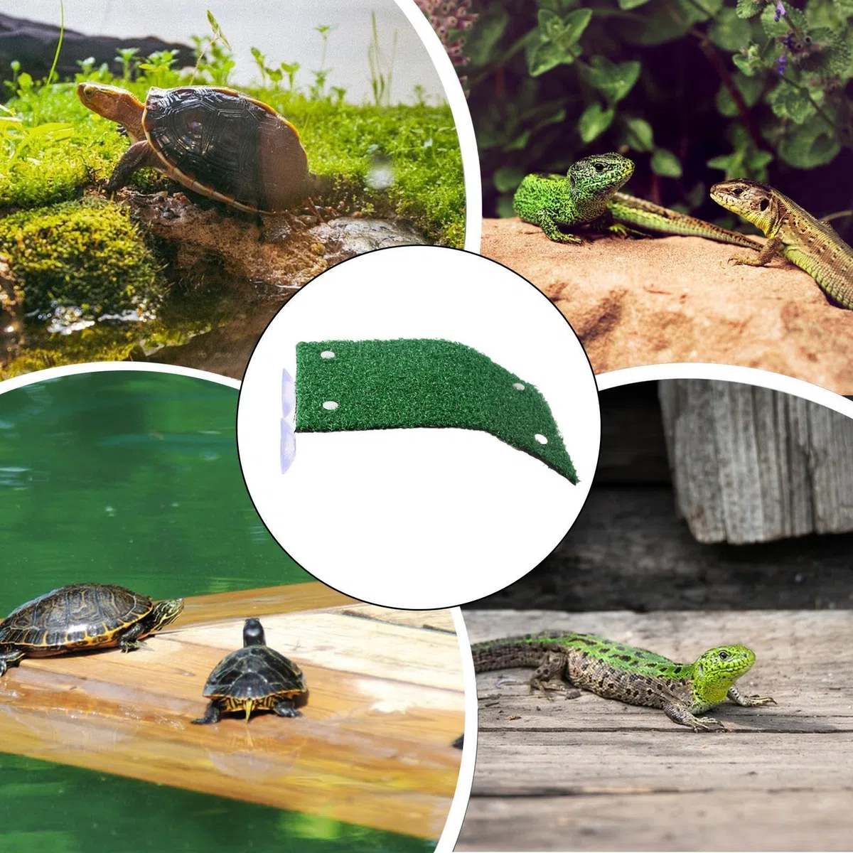 Molo per basking delle tartarughe - Piattaforma di riposo per acquario, simulazione di habitat terrestre per, terrazza solarium per rettili antiscivolo | Granchi Terrapin Rana Salamandra