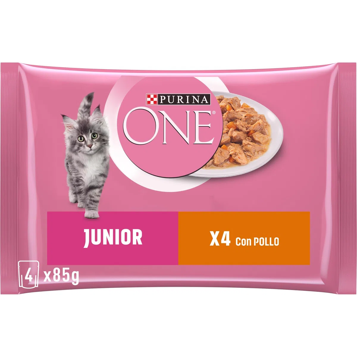 PURINA ONE Junior Cibo Umido per Gattini 1-12 Mesi Filettini con Pollo e Carote in Salsa 48 Buste da 85 g