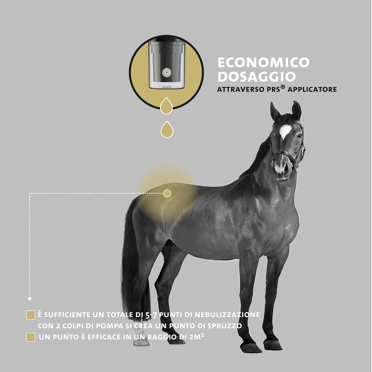 Peticare Nero Mosche Stop Cavallo Spray Anti Mosca Nera - Blocca Efficacemente, Difesa Contro Simulidi, Attivo Fino a 24 Ore, Prevenire Efficacemente Dermatite Estiva e Eczema - petAnimal Protect 2001