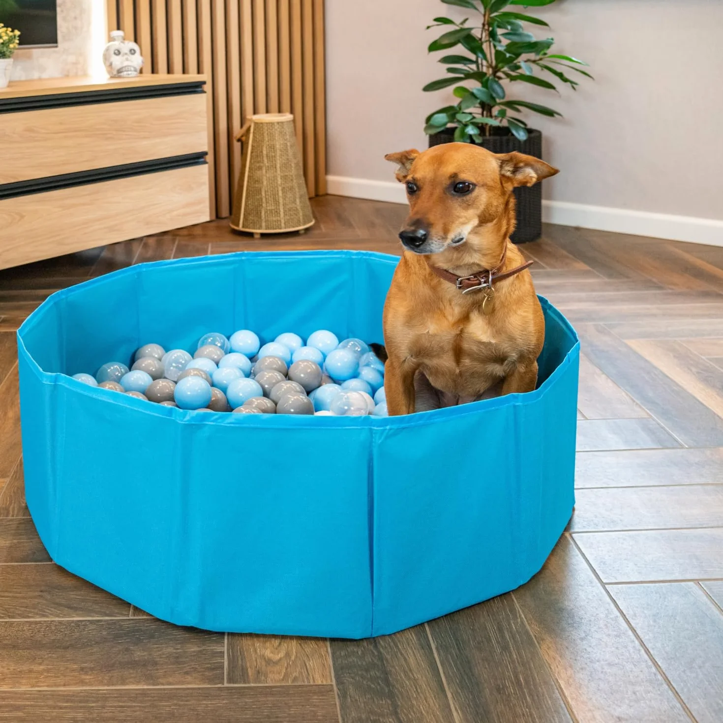 Piscina Pieghevole per Cani con Palline, Vasca da Bagno Asciutta per Animali, Rivestimento Sfoderabile E Lavabile, Blu: Blu/Giallo