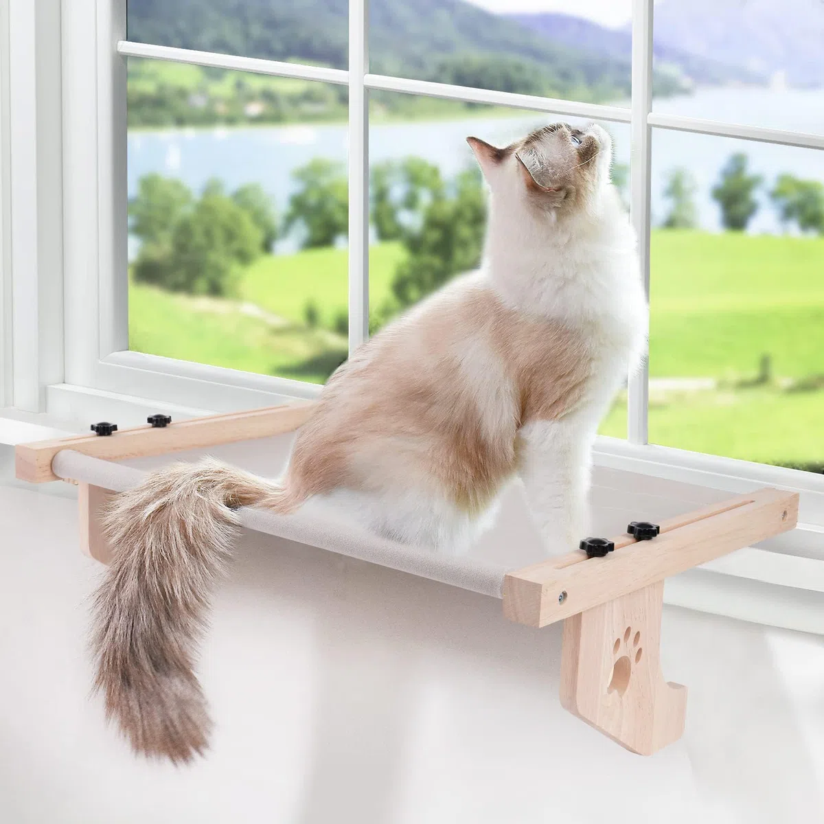 Amaca per Gatti da Finestra, Regolabile Letto per Gatto, Cuccia per Gatti con Cuscino Morbido Rimovibile Lavabile Portata Fino a 18 kg