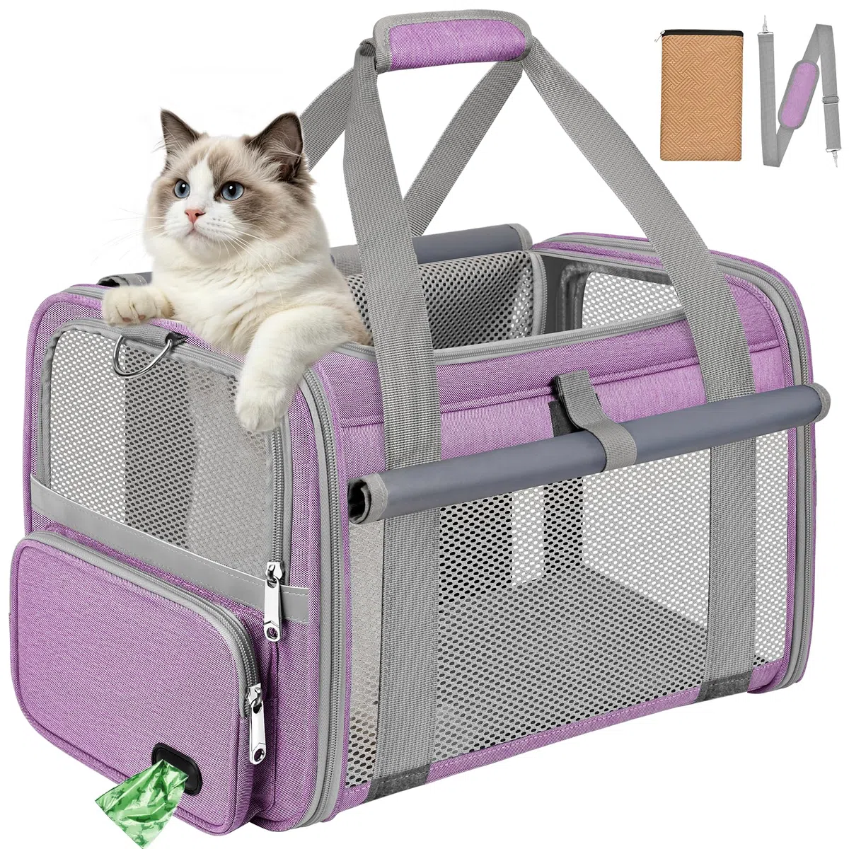 Trasportino Gatto Approvato Aereo Trasportino per Cani Pieghevole Borsa da Viaggio per Animali Domestici Portabile Borsa per Gatti con Tessuto Antigraffio e Cuscino Lavabile (Viola)