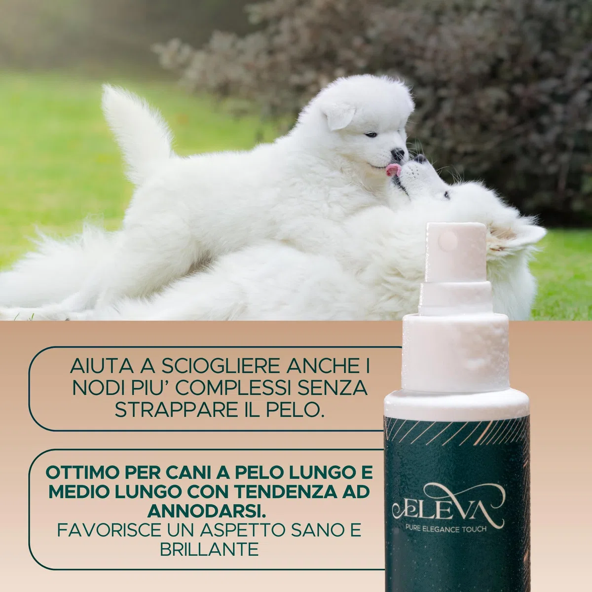 ELEVA PET - Kit Conosciamoci - Shampoo Delicato, Maschera Nutriente e Scioglinodi per Cani - Beauty Routine Completa - Ingredienti Vegetali - PH Ottimizzato - con Olio di Lavanda - Made in Italy