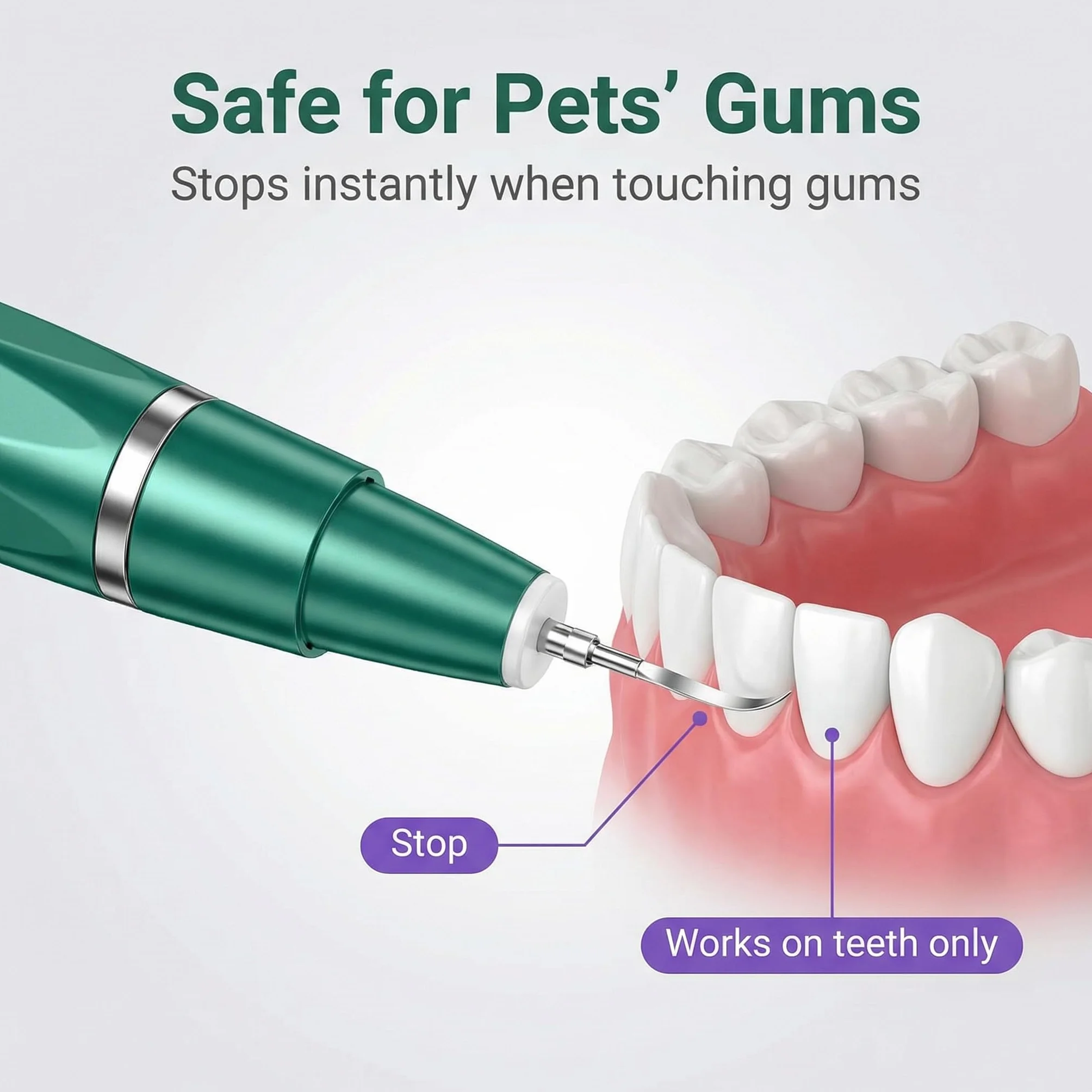 Pulitore Dentale a Ultrasuoni per Cani e Gatti – Pulizia Delicata, 5 Livelli, Ricaricabile USB, Resistente all'Acqua IPX6