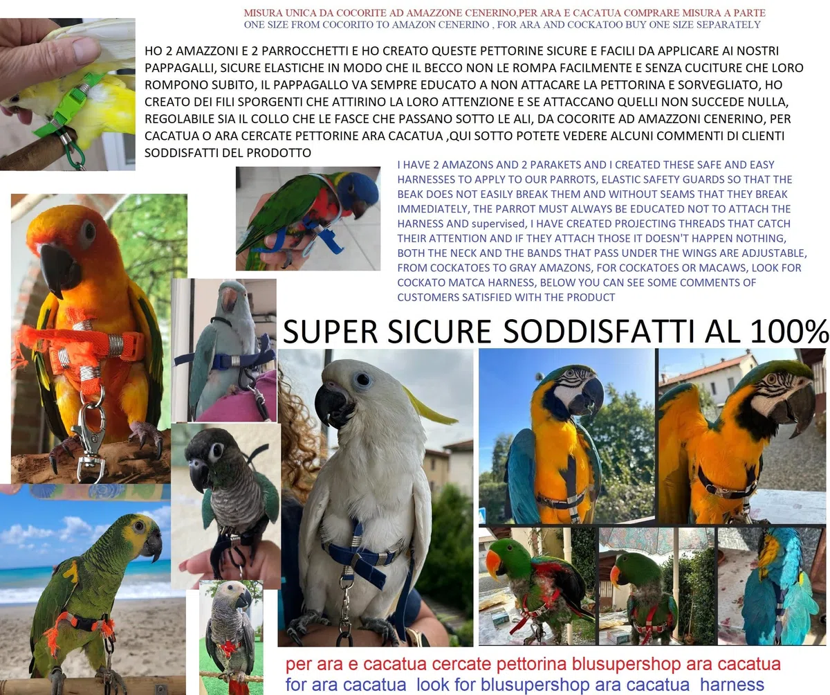 PETTORINA REGOLABILE PER PAPPAGALLI MISURA ARA O CACATUA elastico 10 mm 2 attacchi ACCIAIO REGOLABILI GUINZAGLIO 3mm nero PR (arancio fluo)
