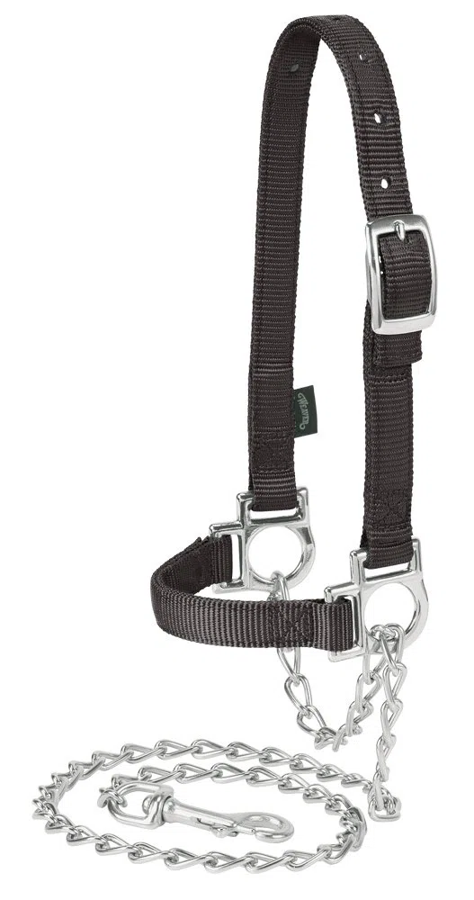 Weaver Leather Cavezza Regolabile in Nylon con Catena di Piombo