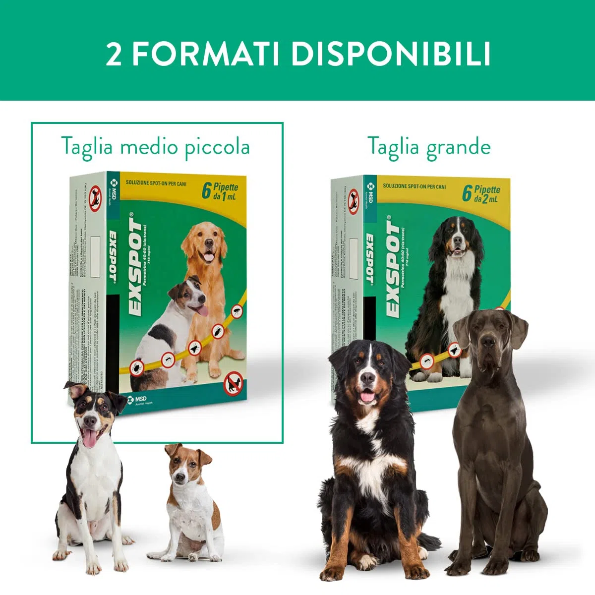 EXSPOT ANTIPARASSITARIO per Cani da 2,5 kg A 40 kg 6 Pipette ANTIPULCI ANTIZECCHE REPELLE ZANZARE Mosche E PIDOCCHI