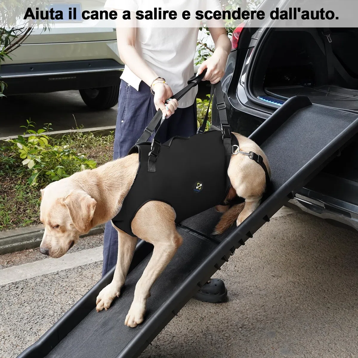 Coodeo Imbracatura per Cani, Sling di Supporto e Riabilitazione Regolabile con Cinghie Padded e Traspiranti per Cani Anziani, Disabili e con Infortuni Articolari. (Nero, XL)