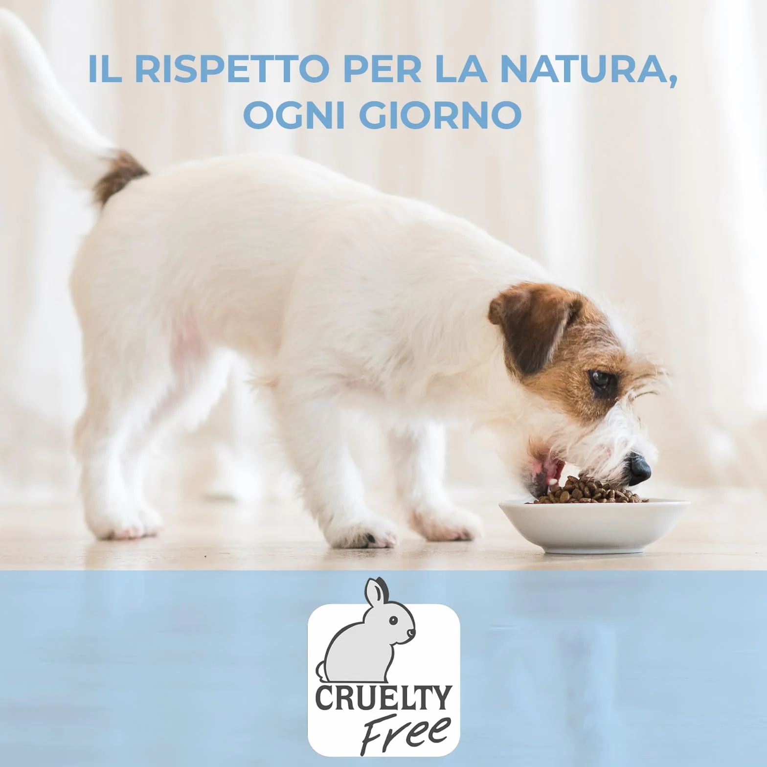 Adoc Naturally Premium, Alimento Umido Complementare per Cani, Filetti di Pollo con Patate, 16 Lattine da 285 g, in Gelatina, Senza Conservanti e Coloranti