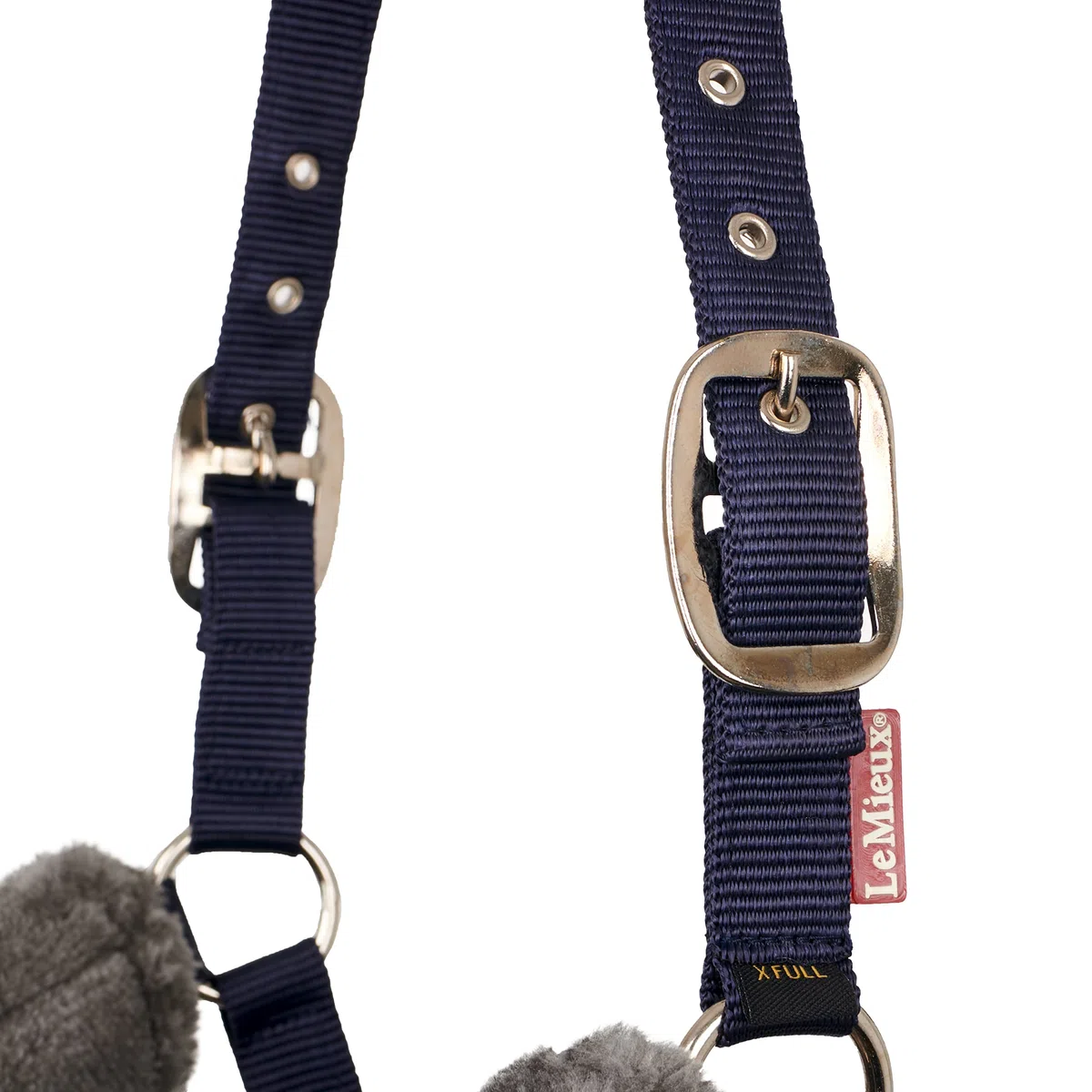 Lemieux Lemieux Comfort Headcollar - Capezze Unisex Adulto