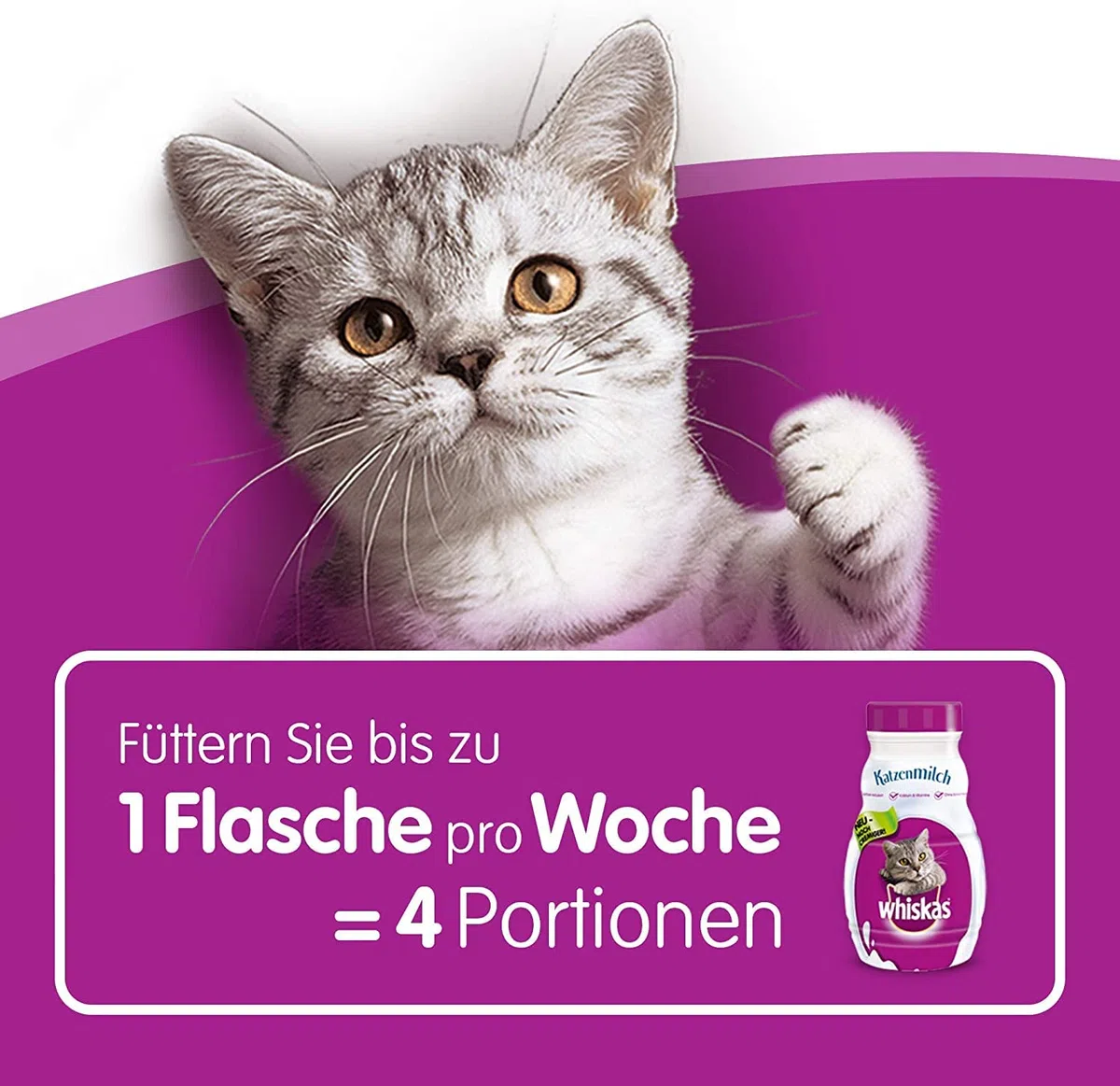Whiskas Latte per Gatti a Partire da 6 Settimane, 15 Bottiglie, 15 x 200 ml, Delizioso Snack per Un Gatto Felice, Prodotto da lattosio e Facilmente digeribile, 3 l (Confezione da 1)