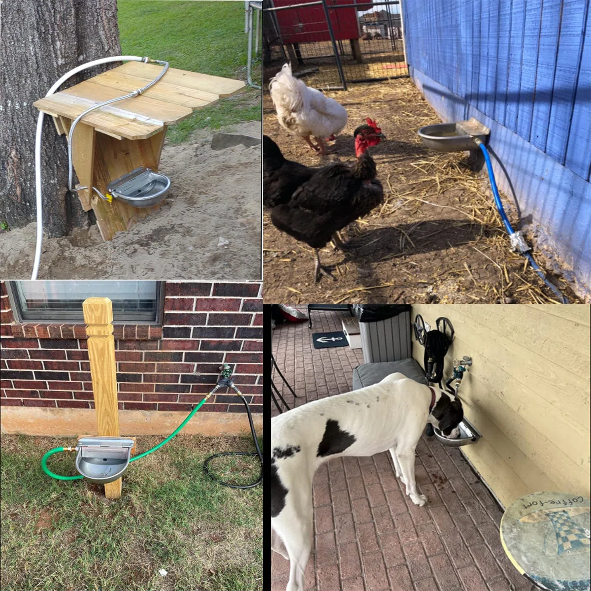 Abbeveratoio Automatico per Cani con 2 Valvole A Galleggiante Regolabili, Abbeveratoio per Bovini In Acciaio Inox per Bue, Cavallo, Capra, Pecora, Abbeveratoi Automatici per Polli