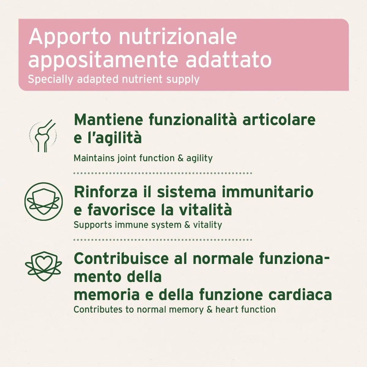 AniForte Senior Active Powder 250 g per Cani Anziani - minerali, aminoacidi e vitamine per Cani, Supporta la Memoria e la Funzione cardiaca, cozza dalle Labbra Verdi per la vitalità e l'agilità