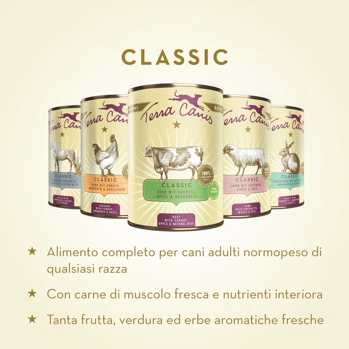 Terra Canis Manzo, carota & riso integrale - Alimento umido Classic, 12x200g I Alimento premium per cani con ingredienti di autentica qualità human-grade al 100% I gluten-free