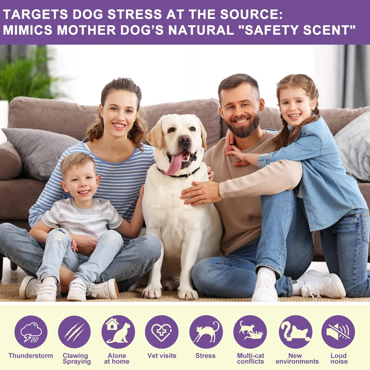 SLE Feromoni per Cani Calmante (2 Diffusore + 4 Ricaricha) Risolve i Problemi di Marcatura con L'urina, Comportamento di Abbaiare, Ricarica del Cani Diffusore del Feromone All'Ansia Rimani più Calmo