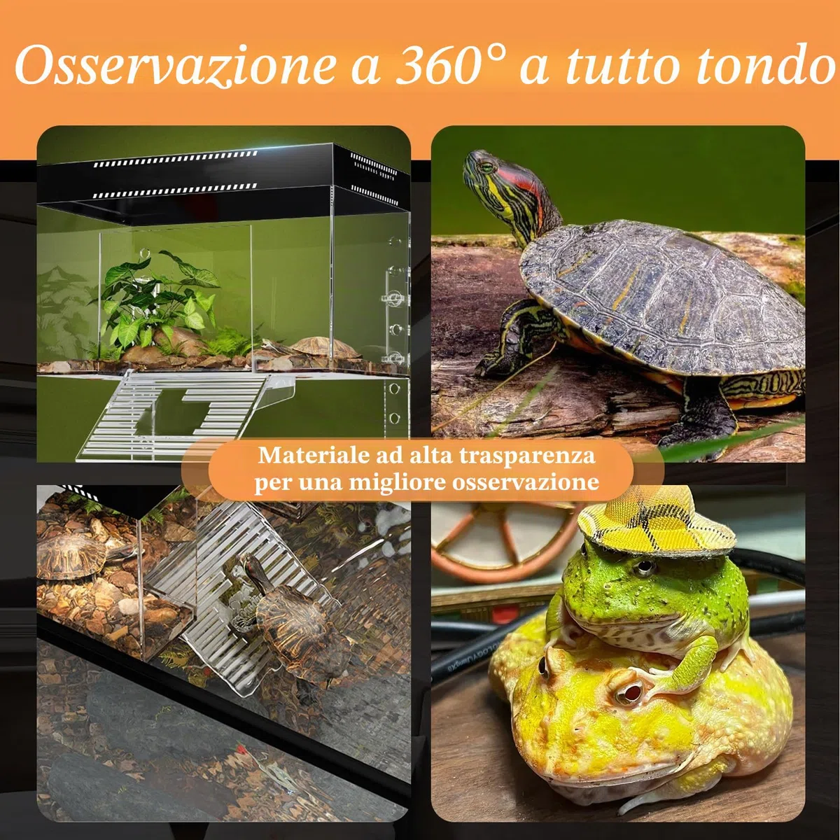 Tartaruga Piattaforma Regolabile Altezza Hanging Topper Habitat con Coperchio e Rampa, 25 × 16 × 16 cm PC Trasparente Piccolo Sopra il Serbatoio Recinzione Acquario per Baby Land Turtles Red Ear