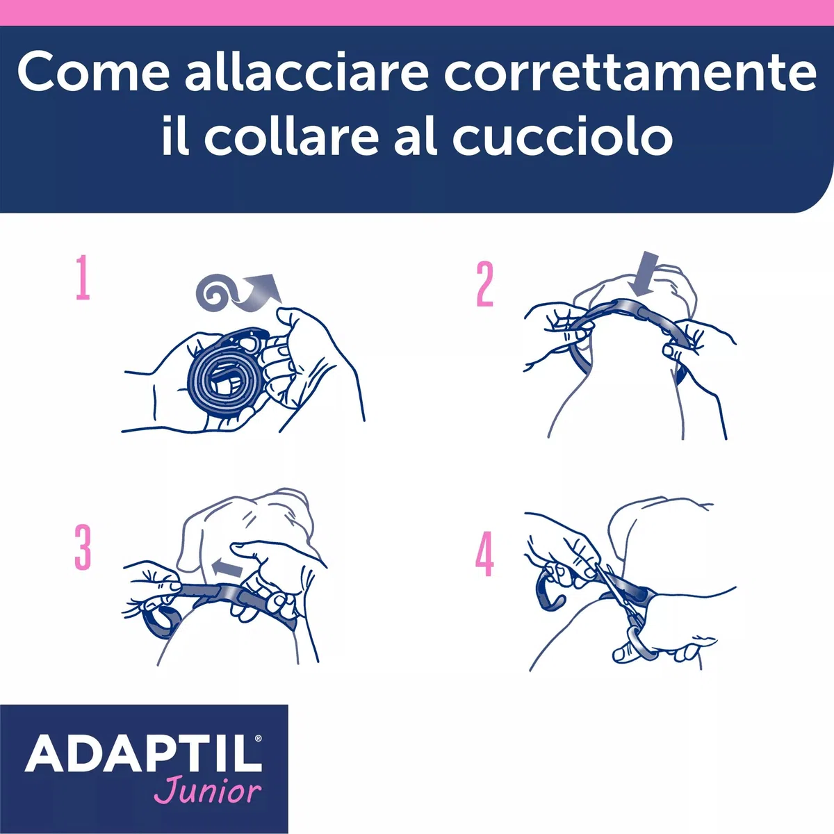 ADAPTIL JUNIOR COLLARE