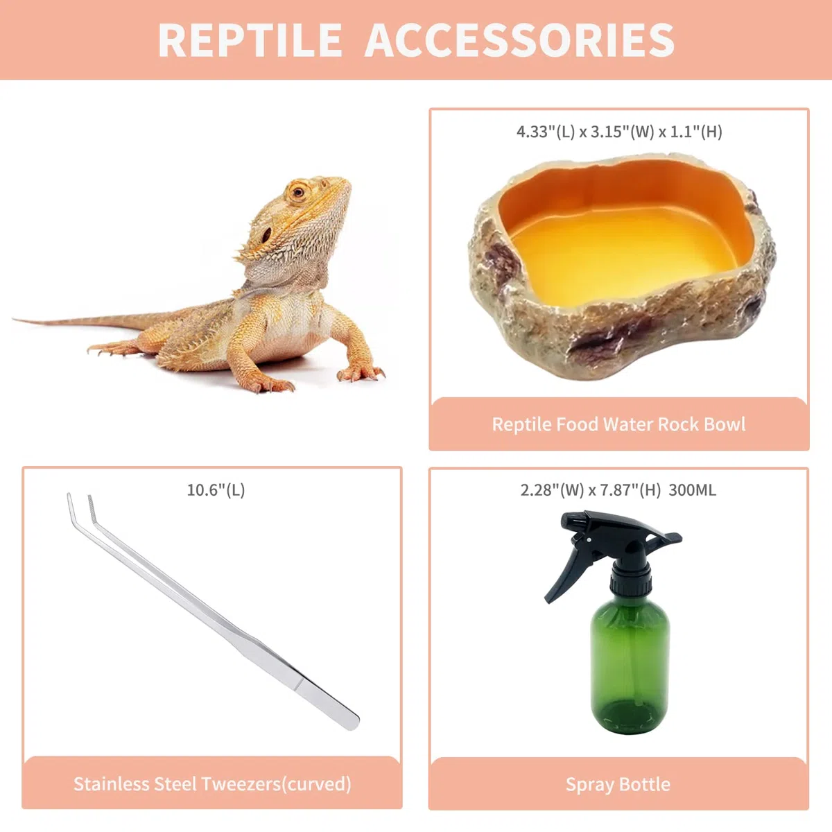 Terrario Kit PC Reptile Growth 12" x 7" x 9", visivamente accattivante terrario rettili per Geco leopardino, Drago barbuto, Ragno, lumaca, insetto, tarantola, serpente