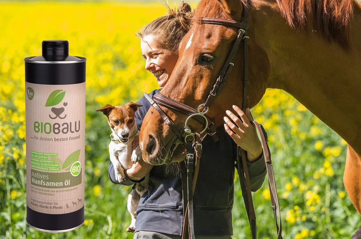 Bio Olio di Canapa, mangime complementare per Cani, Cavalli e Gatti.