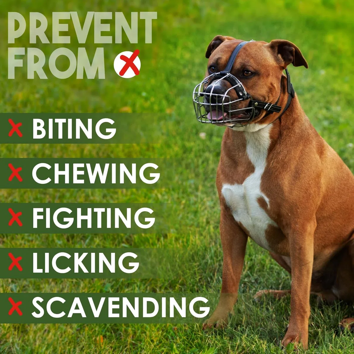 BRONZEDOG Museruola per cani in metallo, maschera per cani di taglia media e grande (taglia 4: Pitbull & Amstaff)