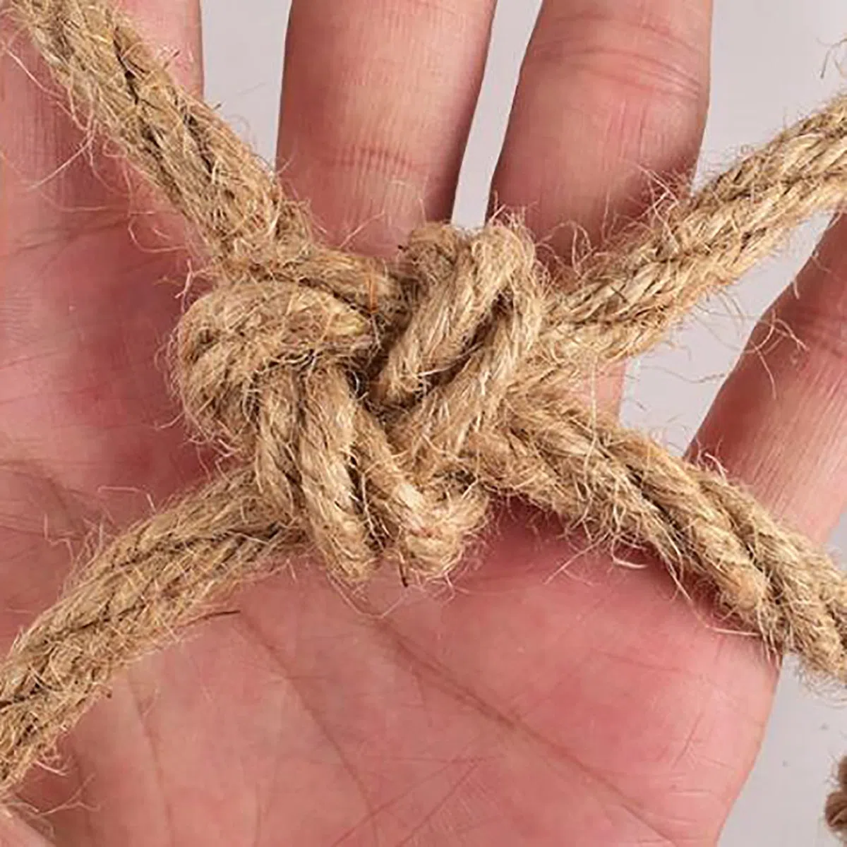 AMAKAA Net di Corda, Rete di Sicurezza del Parco Giochi, Larghezza della Mesh 6 Cm, Spessore della Corda 4 Mm, Varie Dimensioni Opzionali(Size:2x2m)