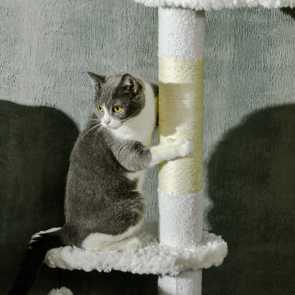 PawHut Albero Tiragraffi a Soffitto con Altezza Regolabile, Torre per Gatti Multilivello con Pali Tiragraffi in Corda di Sisal, 48x32x225-255 cm, Bianco