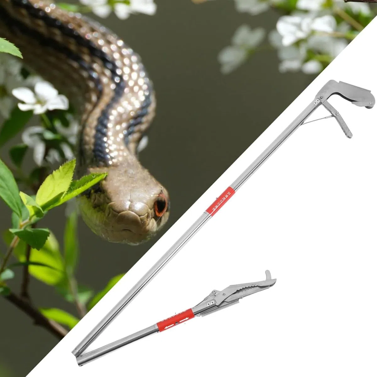 Pinze per serpenti, strumento per afferrare serpenti, in acciaio inox, pieghevole, pinza per la cattura dei granchi, strumento per afferrare i granchi, a lunga portata con impugnatura antiscivolo, per