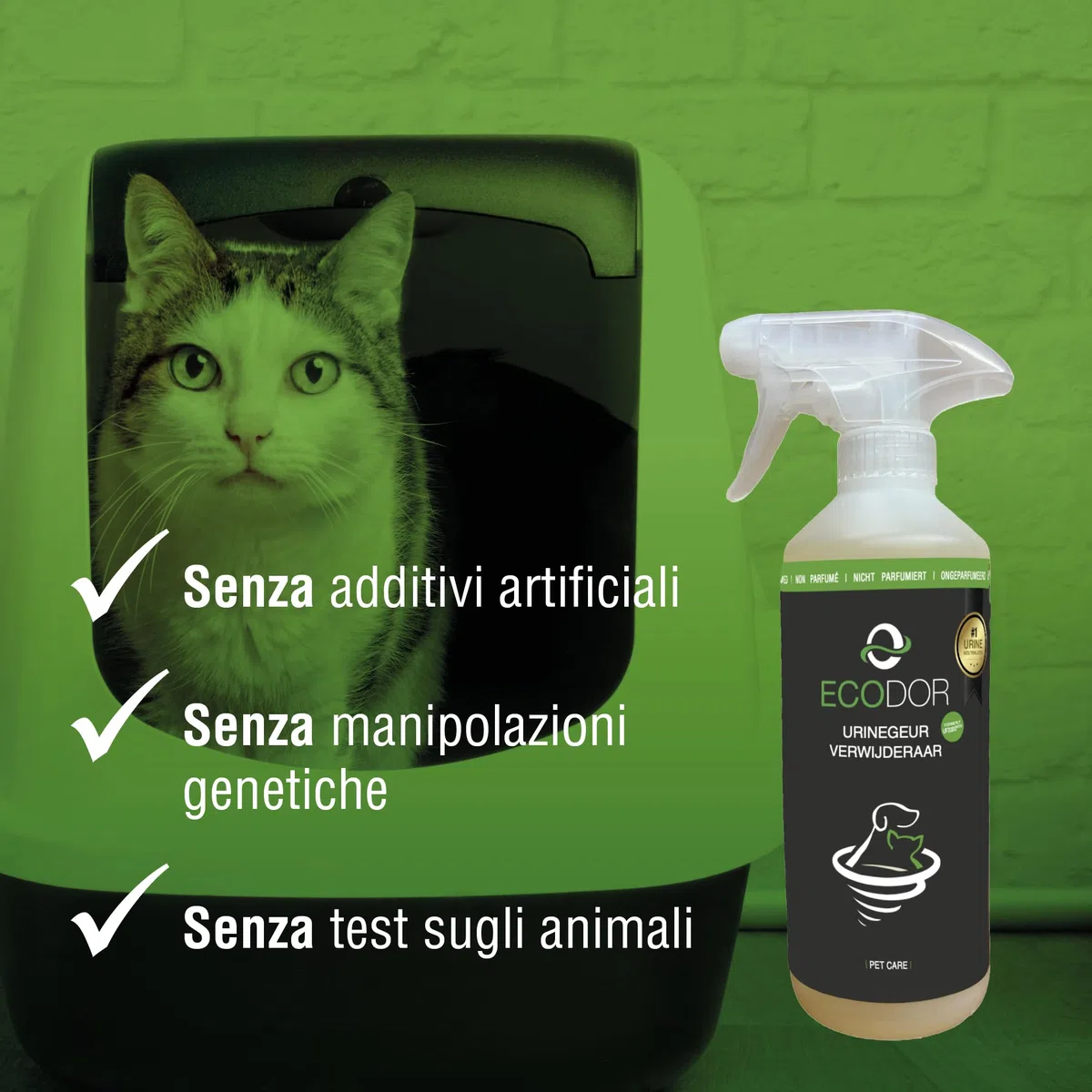 UF2000 Rimuovi Odori di Urina 2x 500 millilitro | Senza Profumo | Rimuove Efficacemente gli Odori di Urina di Cani, Gatti e Roditori