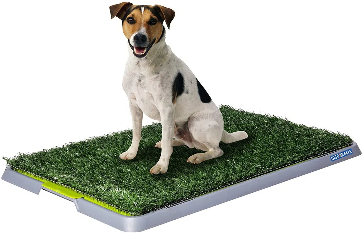 Discorama® - LETTIERA WC per Cani E Gatti Cuccioli Taglia Media con Erba Sintetica Assorbente Ottima per ADDESTRAMENTO 3 Strati BY Potty Patch