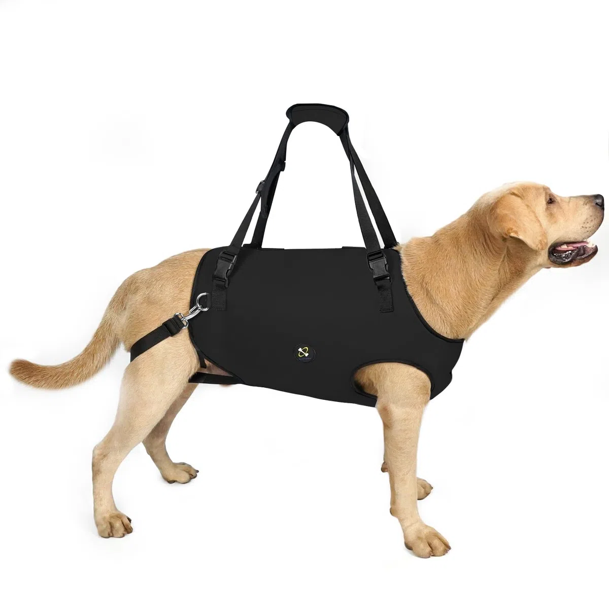 Coodeo Imbracatura per Cani, Sling di Supporto e Riabilitazione Regolabile con Cinghie Padded e Traspiranti per Cani Anziani, Disabili e con Infortuni Articolari. (Nero, XL)