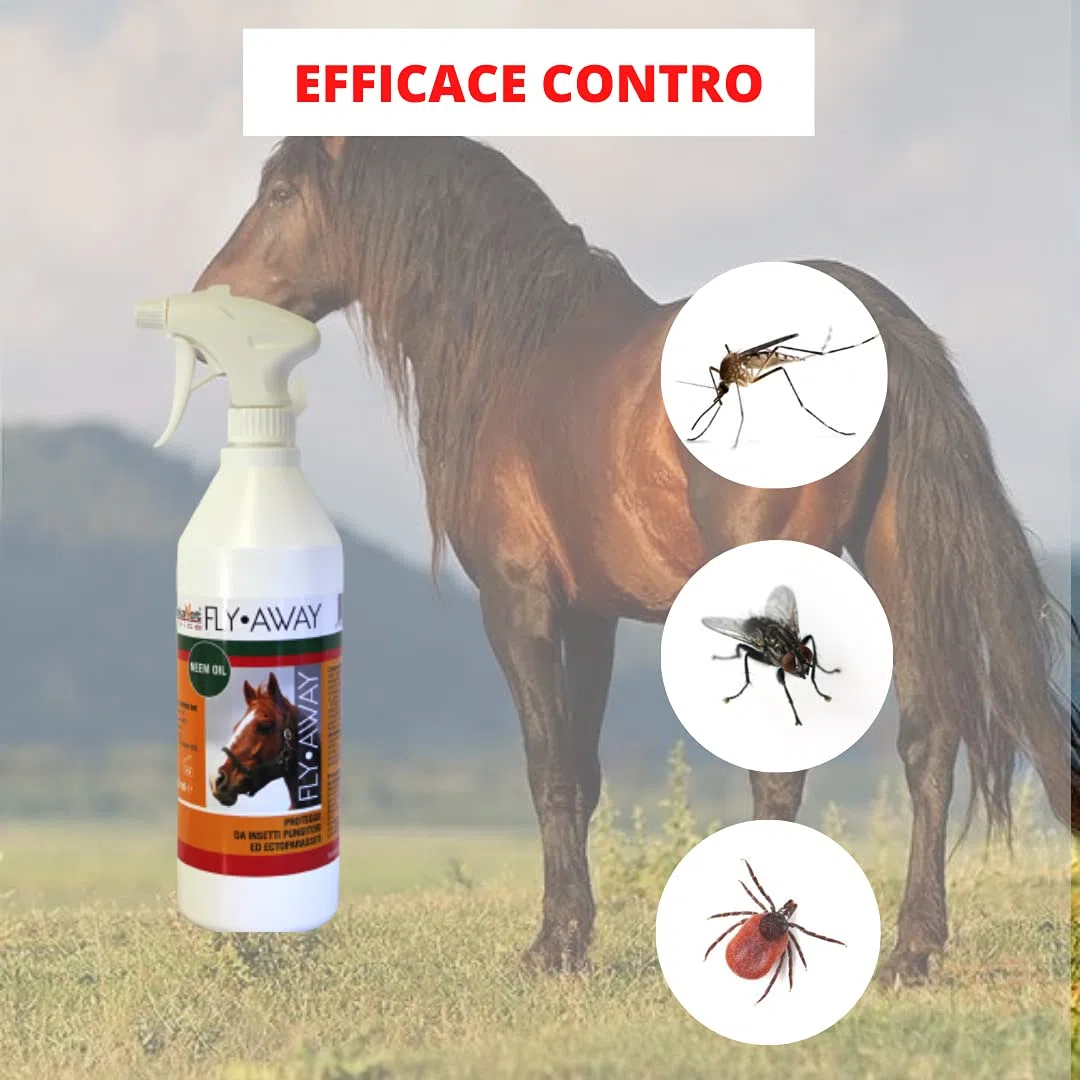 FLY AWAY Eurekavet Antiparassitario 100% Naturale per Cavalli con Olio di Neem - Efficacie Contro: Mosche, Tafani, Flebotomi, Zanzare, Pulci, Zecche, Acari - Formula Potenziata (Flacone da 1 litro)