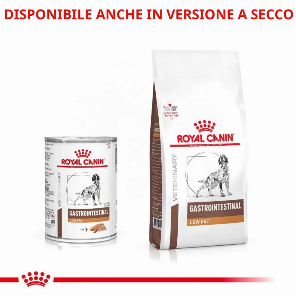 Royal Canin Veterinary Gastrointestinal Low Fat Mousse | 12 x 420 g | Mangime dietetico completo per cani adulti | Per il supporto digestivo e l'obesità.