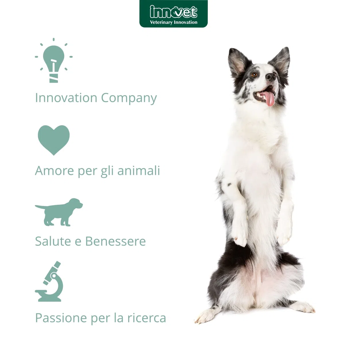 Normalia Extra per Cani – Supporto Intestinale Avanzato – con Probiotici, Colostro Bovino e PEA-um – Aiuta la Consistenza delle Feci e l’Equilibrio della Microflora Intestinale – 30 cpr