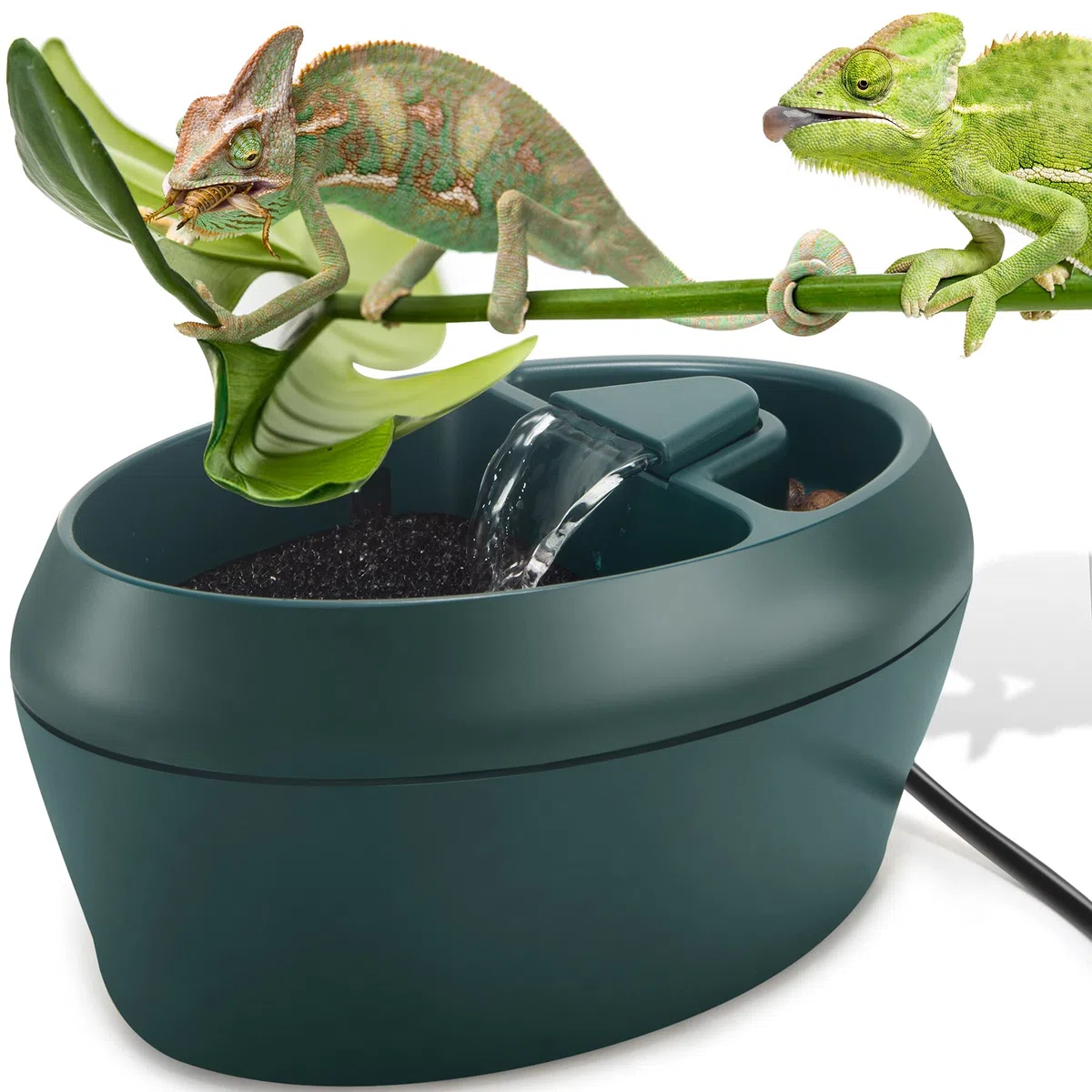 Cantina per rettile, camaleonte con trogolo per snack, fontana per anfibi, insetti, lucertola, serpente, ragno, rana geco, fornito con due pompe (una per la sostituzione)