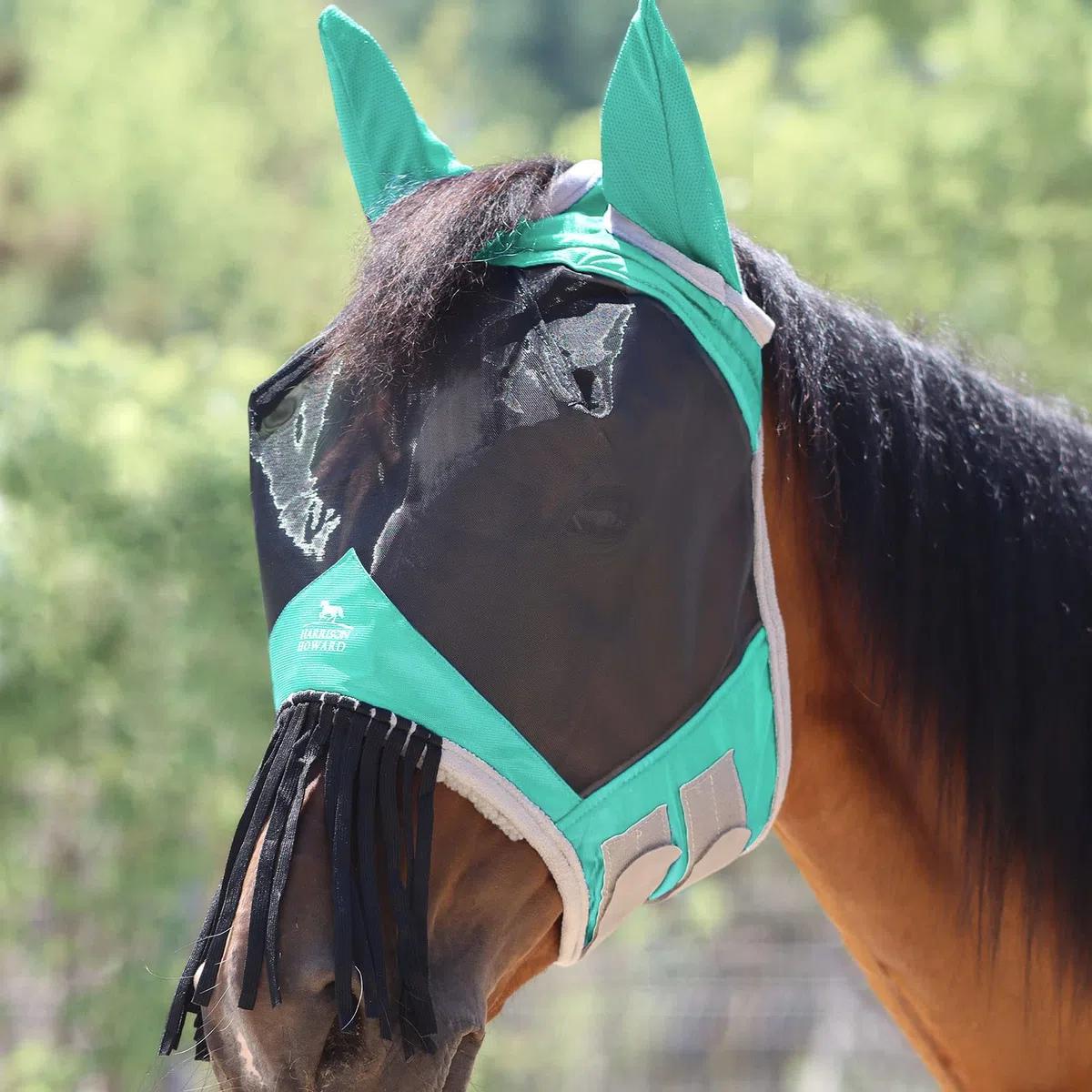 Harrison Howard CareMaster, maschera antimosche per cavalli, con orecchie e naso, frangia per proteggere le mosche, maschera estiva, taglia M