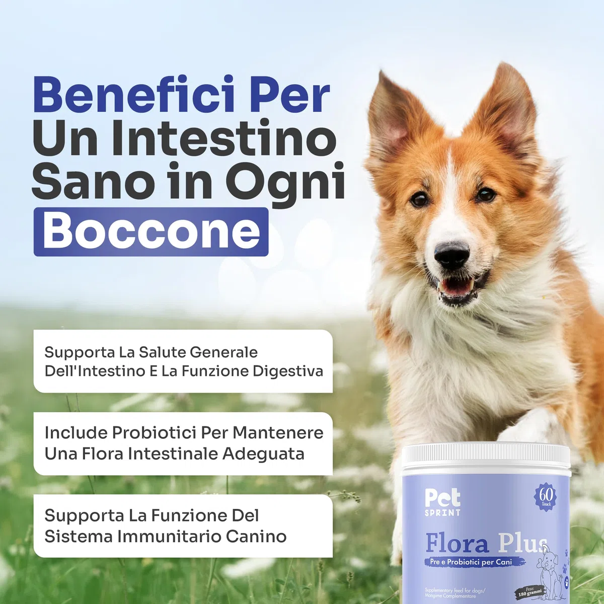 Probiotici Per Cani Flora Plus - Pre e Probiotico Digestivo Per Cani, Favorisce La Digestione e Salute Intestinale - Marca Italiana