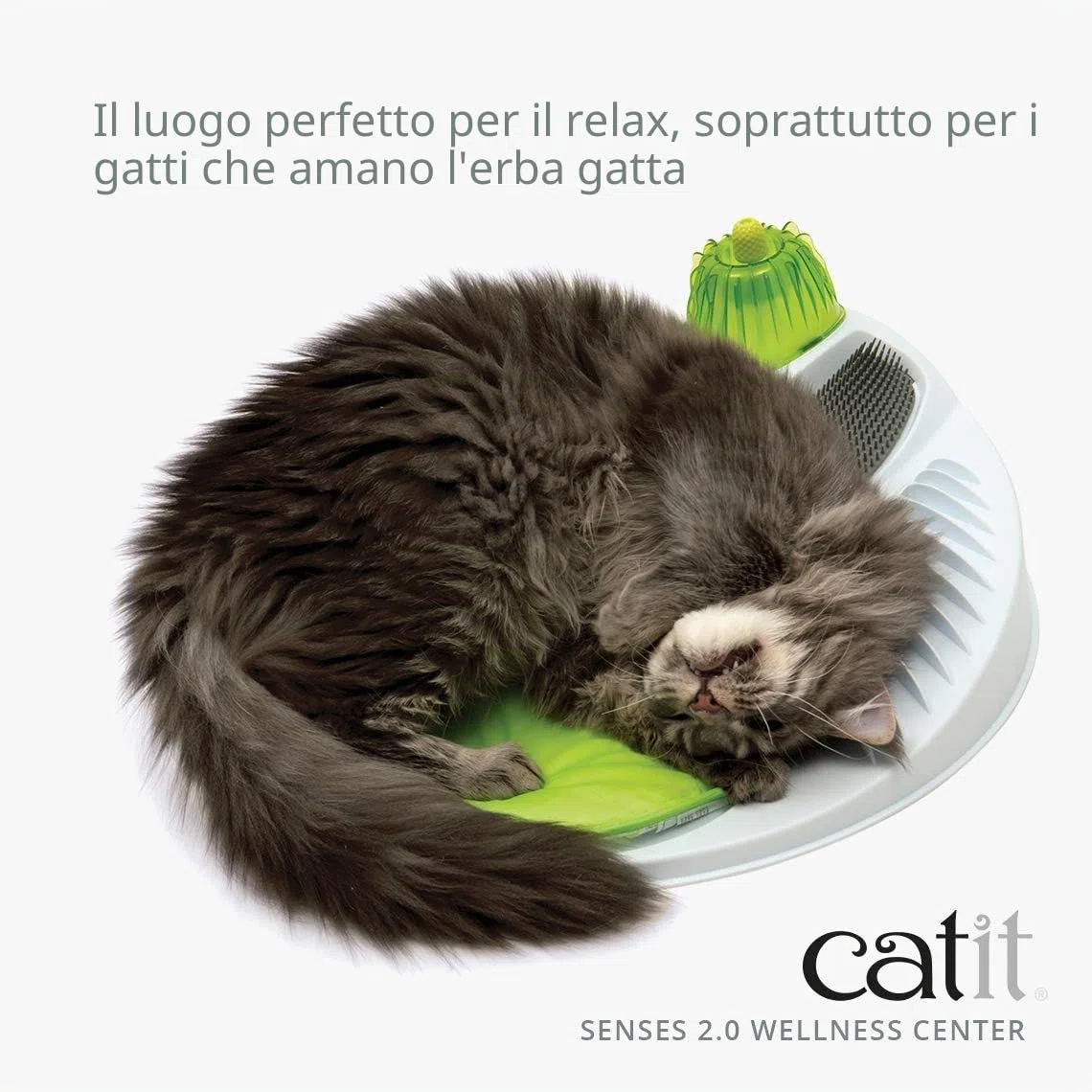 Catit Senses Centro Benessere per Gatti