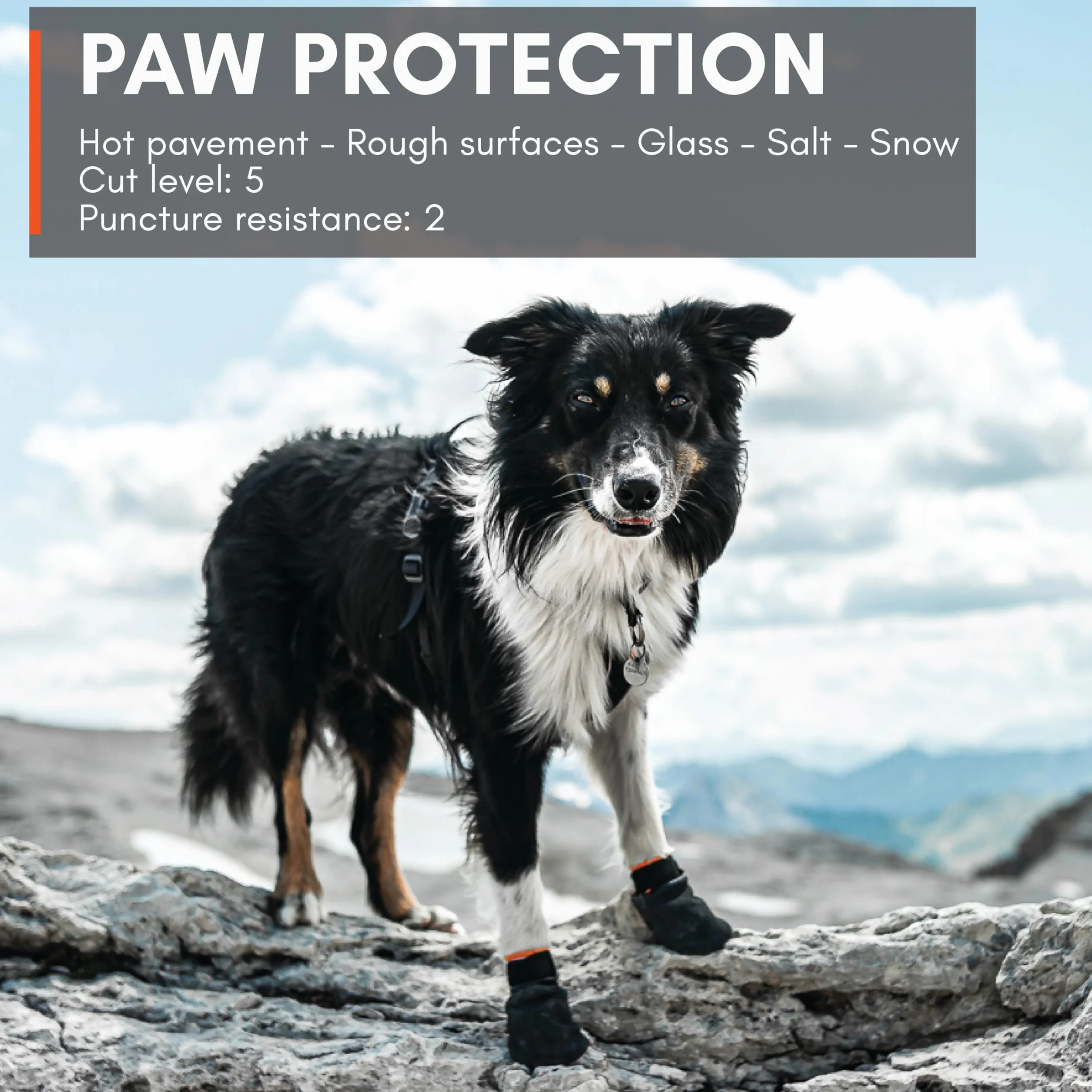 Non-Stop Dogwear Stivaletti protettivi (4 pezzi), nero/arancione - M