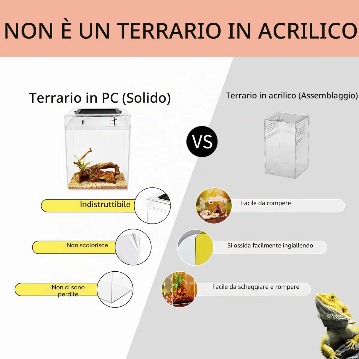 set di terrari alti (PC), 20 x 20 x 28cm Carro armato per rettili con schermo per porte scorrevoli superiore Terrari per rettili per serpente, rana, insetto, tarantola, paguro, ragno saltatore, iguana