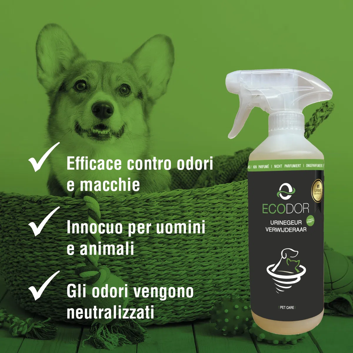 UF2000 Rimuovi Odori di Urina 2x 500 millilitro | Senza Profumo | Rimuove Efficacemente gli Odori di Urina di Cani, Gatti e Roditori
